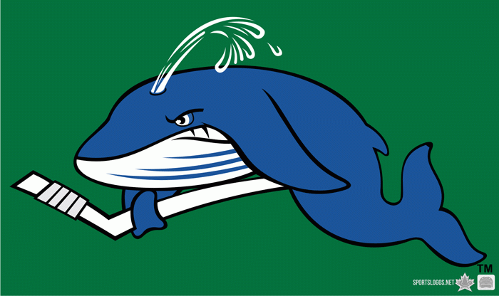 Connecticut Whale 2010-2013 Secondary Logo iron on heat transfer